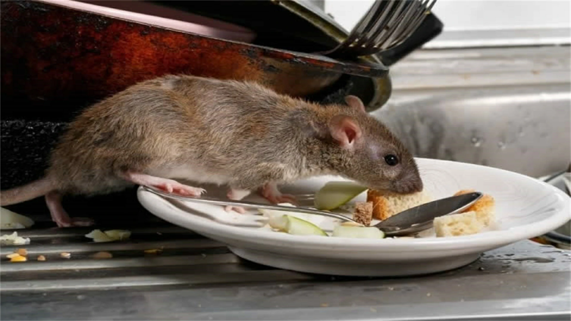 Things Grocery Employees Wish You’d Never Find Out