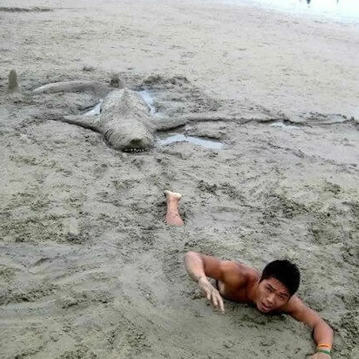 This is a beach scene you've never seen before.