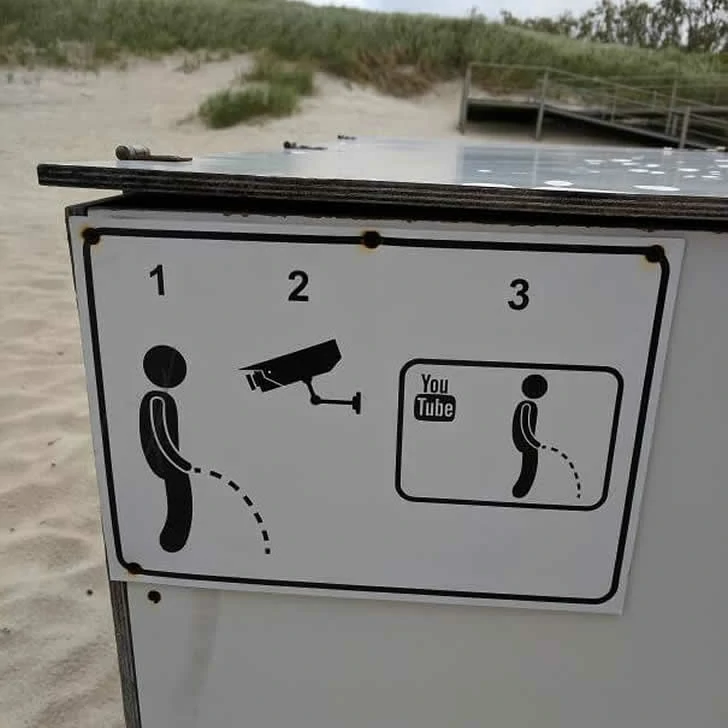 This is a beach scene you've never seen before.