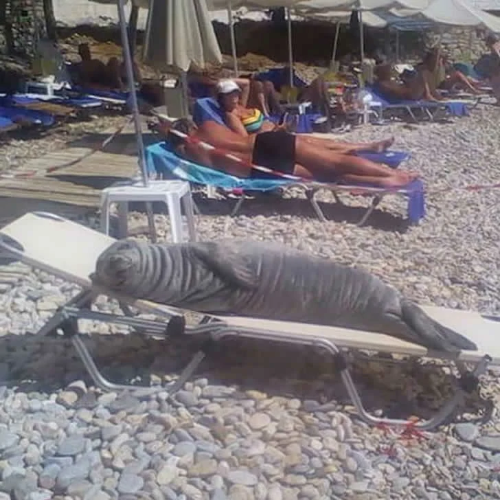 This is a beach scene you've never seen before.