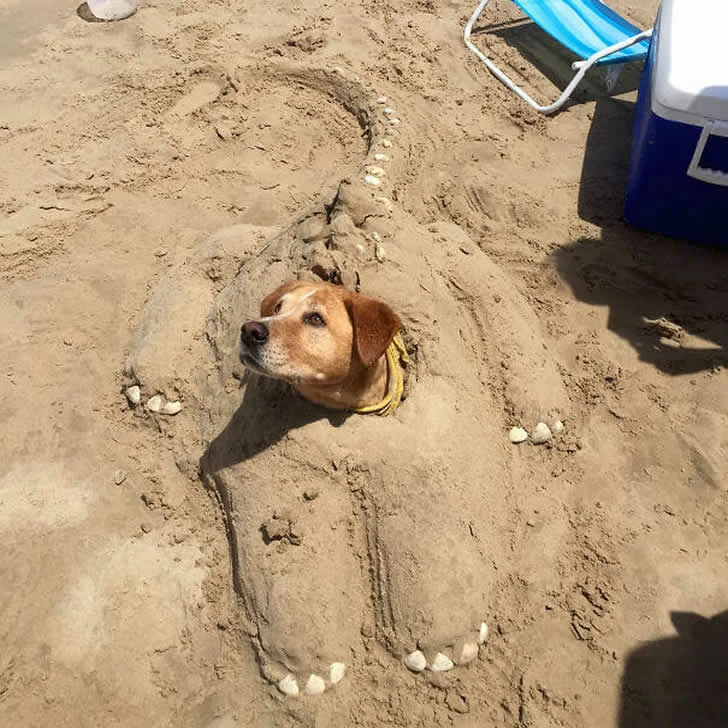 Tourists are enjoying their vacation leisurely on the beach.